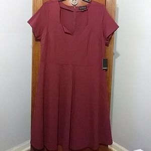 💗FinalSale* Nwt Stunning Eloquii SassySwing dress